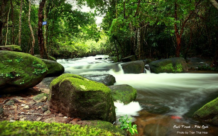 Tranh Stream a beckoning painting of the nature in Phu Quoc