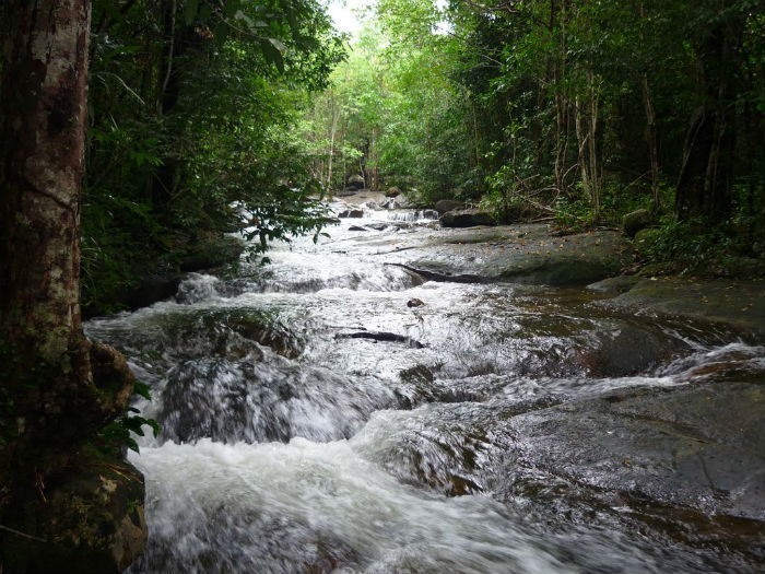 Tranh Stream a beckoning painting of the nature in Phu Quoc