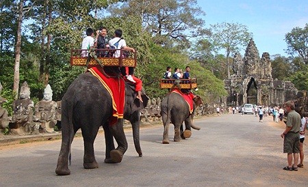 ride an elephant