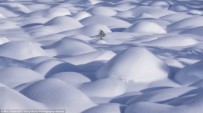 A remarkable photo of white snow surrounding small hills.