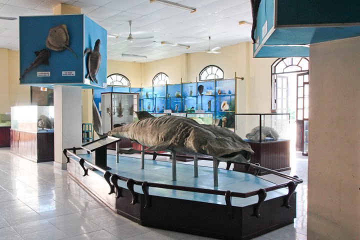 Nha Trang Aquarium Institute