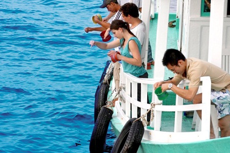 Tour Thành phố Hồ Chí Minh – Phú Quốc