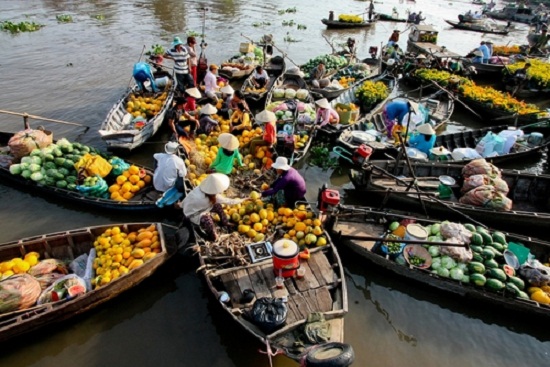 Tham quan chợ nổi Cái Bè Cù Lao Tân Phong 1 ngày