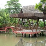Địa điểm du lịch Cồn Quy