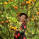 Ghé thăm chùa Tiên Châu và vườn trái cây tỉnh Vĩnh Long