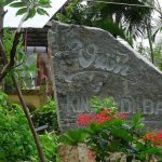 Khám phá vườn kinh đá độc đáo tỉnh Vĩnh Long