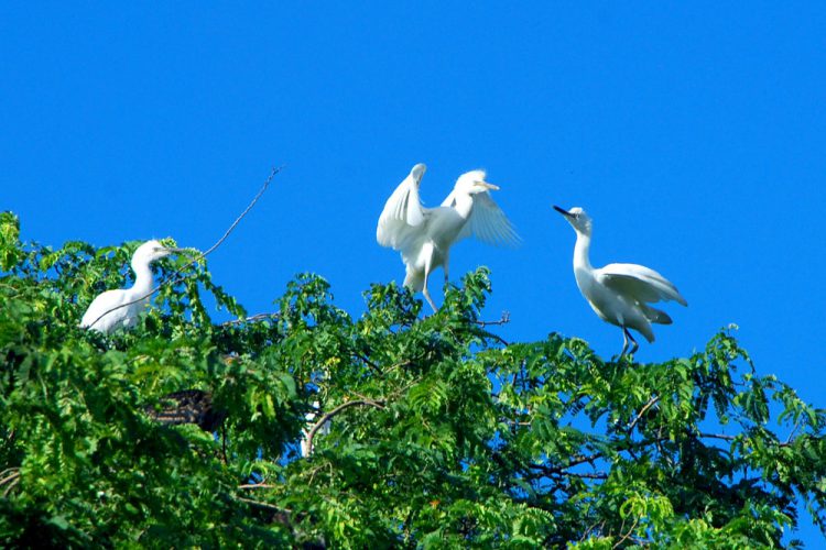 Tour Miền Tây 6 Ngày 5 Đêm đi 11 tỉnh miền tây