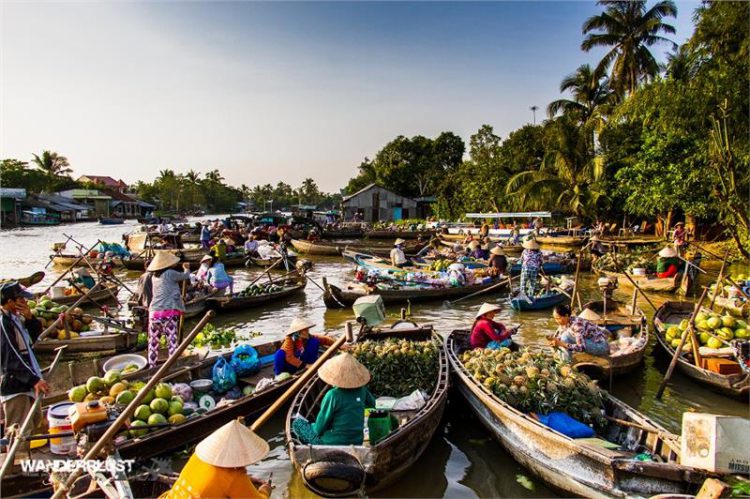 Tour tham quan Cà Mau Cần Thơ thành phố Hồ Chí Minh 4 ngày 3 đêm