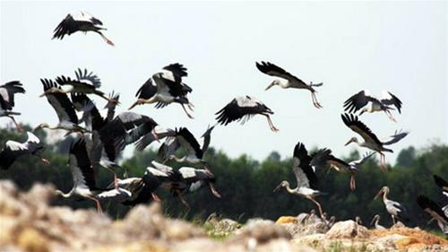 Trải nghiệm miền Tây làm ngư dân bắt cá mùa nước nổi 2 ngày 1 đêm
