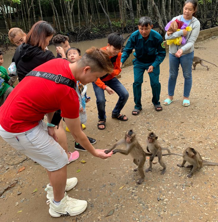 Tour du Lịch Cần Giờ 01 Ngày – Tham quan thiên đường Đảo Khỉ Rừng Sác