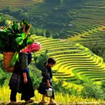 Tour tham quan Miền Bắc 6 ngày 5 đêm