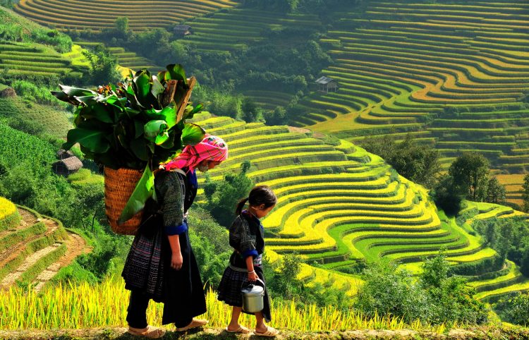 Tour tham quan Miền Bắc 6 ngày 5 đêm