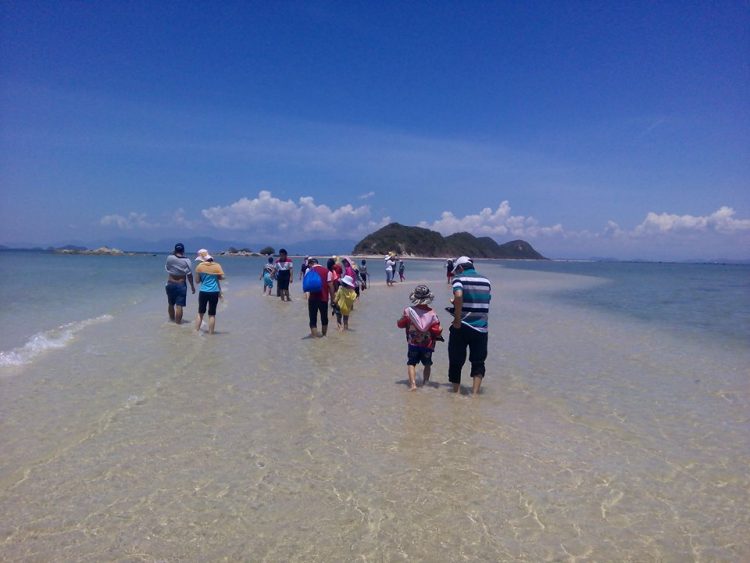 Tour du lịch Đảo Điệp Sơn – Phú Yên 1 ngày