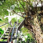 Vì sao bạn nên chọn Đào Anh Khánh Tree House khi đến Hà Nội?