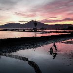 Đập Tam Giang điểm đến đầy chất thơ của mảnh đất Phú Yên