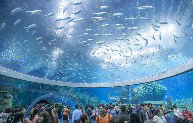 Tour tham quan Thành Phố Nha Trang