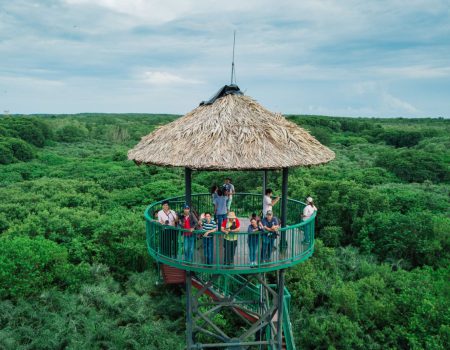 Tour Vàm Sát Cần Giờ 1 ngày thumbnail